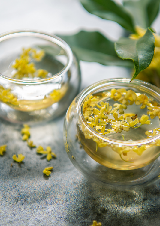 Winter Wellness: Embrace the Season with Grounding, Hydration, and Calming Ritual