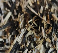 The Homegrown Collective heirloom Marigold Seeds packet for sustainable home gardening.