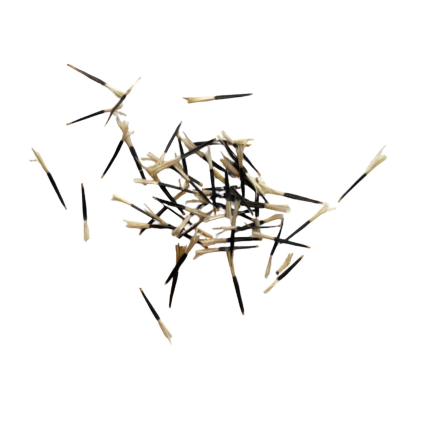 Marigold Seeds