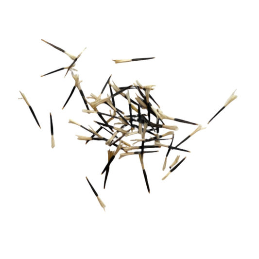 Marigold Seeds